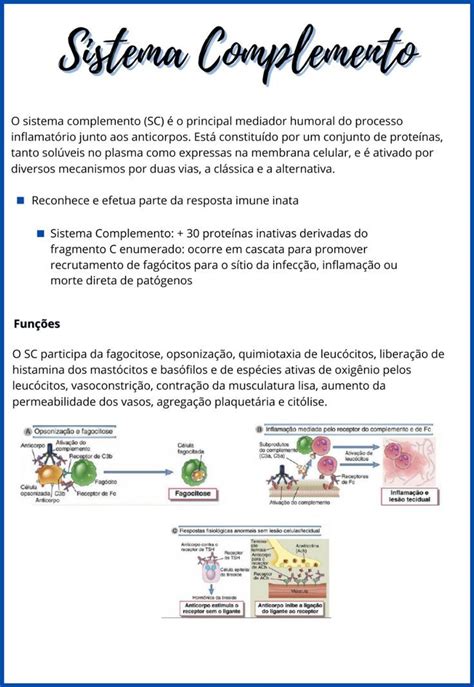 Mapa Mental Sistema Complemento