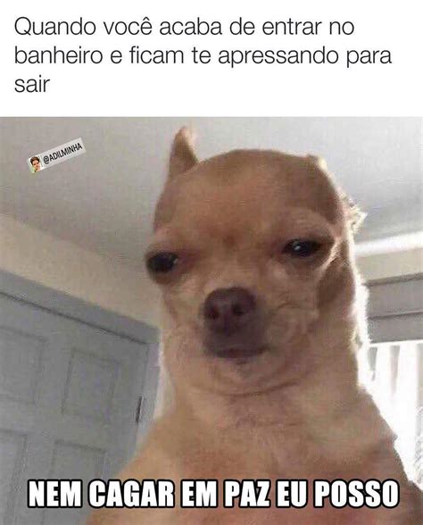 Quando Voc Acaba De Entrar No Banheiro E Ficam Te Apressando Para Sair