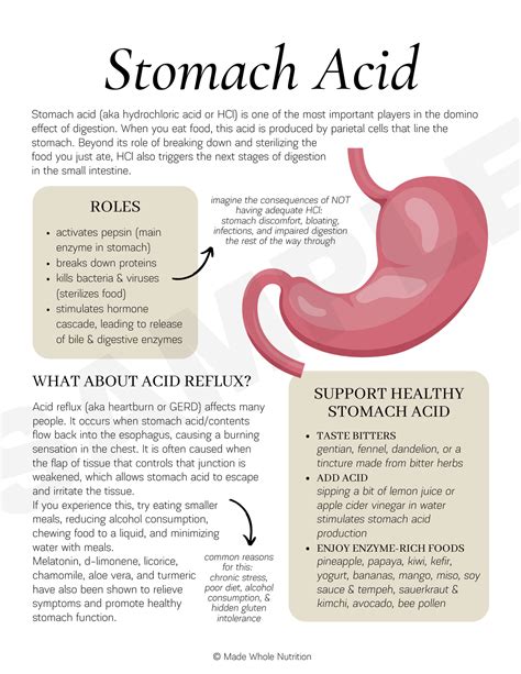 Stomach Acid And How To Manage Acid Reflux Functional Health