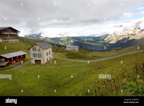 Chalet In Alpine Valley In The Swiss Alps Near Grindelwald Switzerland