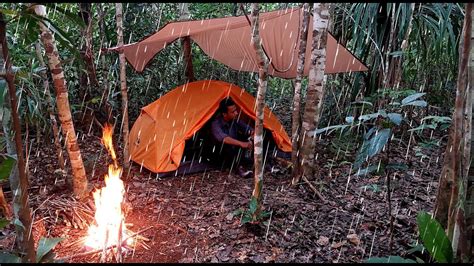 2 Hari Solo Camping Di Hutan Hujan Rintik Pada Malam Hari Api Unggun