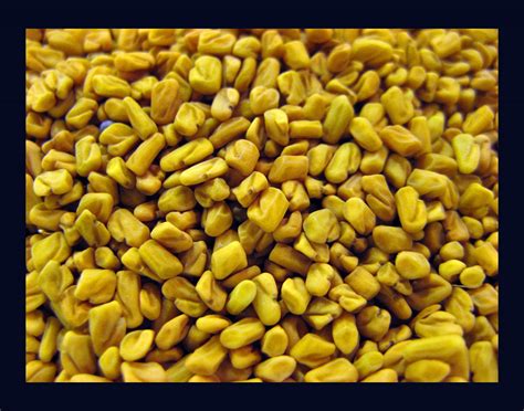 Best Health Benefits Of Fenugreek