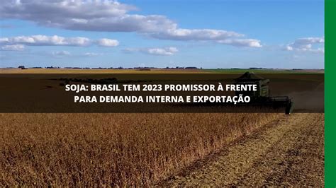 Safra Brasileira De Soja Rede Mais