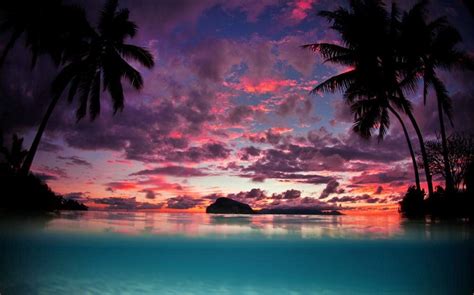 1230x768 Landscape Nature Tahiti Sunset Palm Trees Island Beach Sea