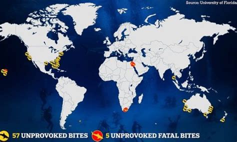 World's shark attack hotspots REVEALED: Map shows the areas with the ...