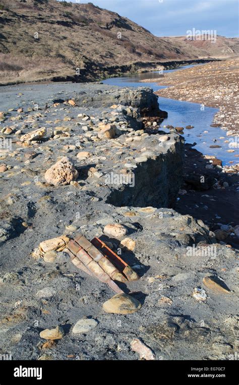 Blackhall colliery beach hi-res stock photography and images - Alamy