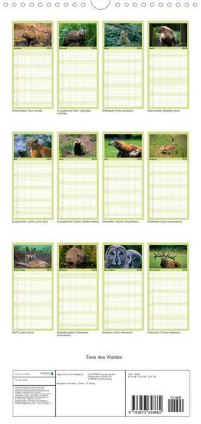 Familienplaner Tiere Des Waldes Wandkalender Cm X Cm