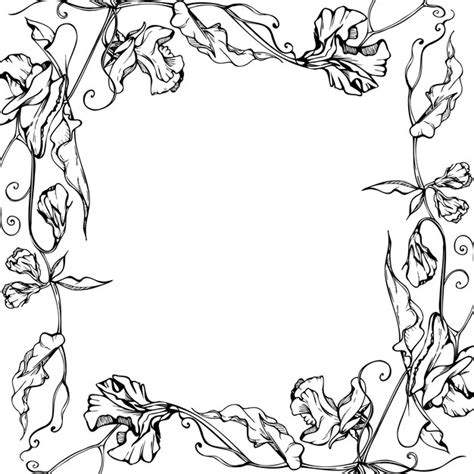 Vine Flower Drawing Black And White Infoupdate Org