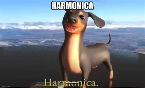 Harmonica Imgflip