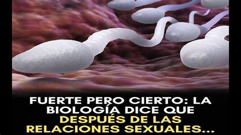 FUERTE PERO CIERTO LA BIOLOGIA DICE QUE DESPUES DE LAS RELACIONES