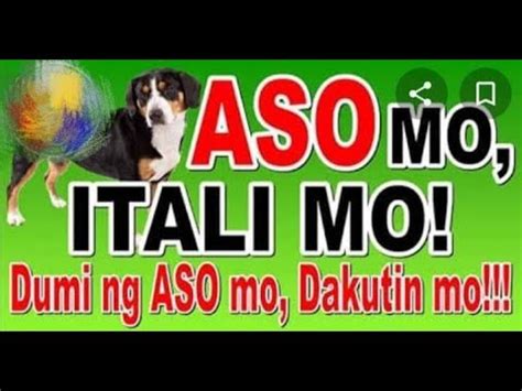 Opo Aso Mo Itali Mo Dumi Ng Aso Mo Dukutin Mo YouTube