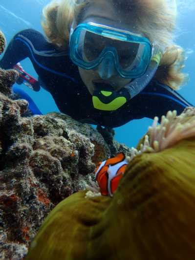 Port Douglas Croisi Re De Plong E En Apn E Sur La Grande Barri Re De