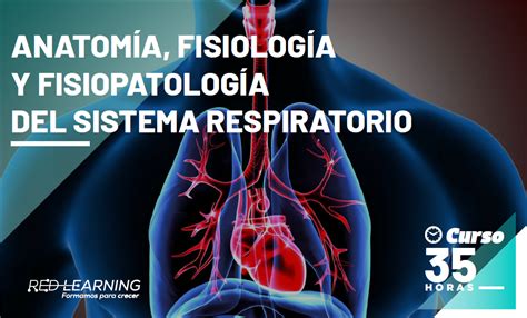 CURSO ANATOMÍA FISIOLOGÍA Y FISIOPATOLOGÍA DEL SISTEMA RESPIRATORIO