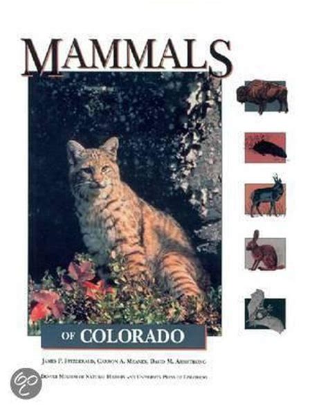 Mammals Of Colorado 9780870813337 Carron A Meaney Boeken