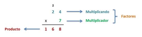 Multiplicaci N Por Cifras Cuarto De Educaci N Primaria