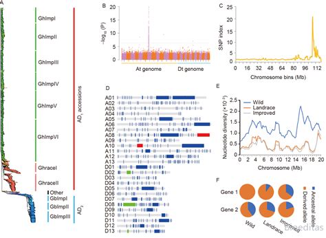 棉花基因组学、生物技术和分子生物学研究综述 陕西佰艾基因信息科技有限公司