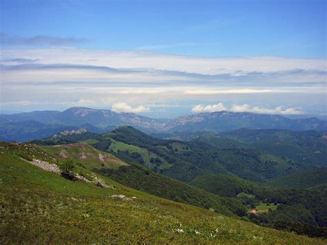 1+ Free Ruj Tüpler & Serbia Photos - Pixabay