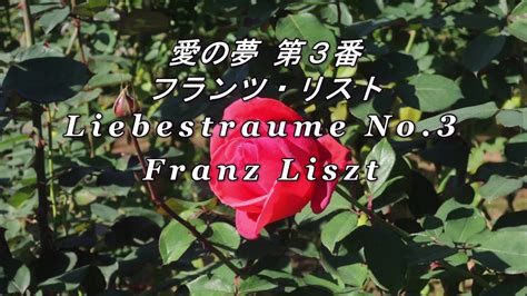 （解説入り）愛の夢 第3番 リスト Liebestraume No 3 Liszt Youtube