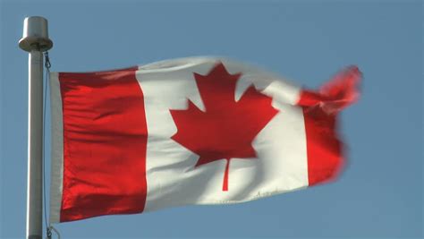 Canadian Flag Waving In A Windy Day. Red And White, The Colors Of The ...