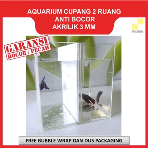 Jual Akuarium Ikan Cupang Akrilik Soliter Ikan Hias Aquarium