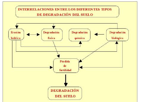 Interrelaciones entre los diferentes tipos de degradación que pueden