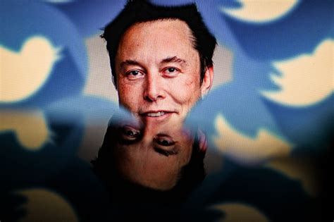 Elon Musk To Step Down From Twitter After Poll