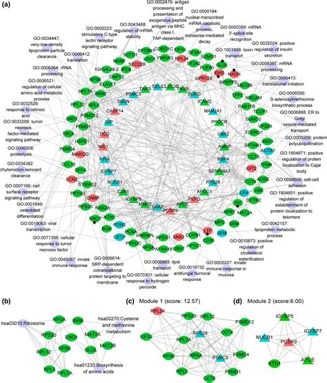 TMT Based Comprehensive Proteomic Profiling Identifies Serum Prognostic