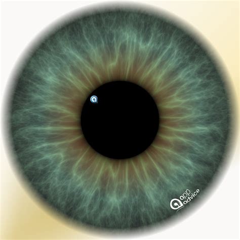 Ophthalmology Hd Wallpaper Pxfuel