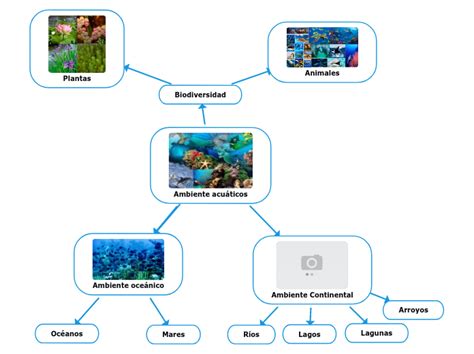 Ambiente Acu Ticos Mind Map