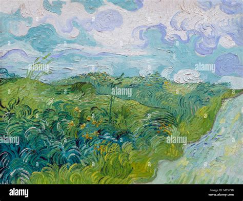 Campos de trigo verde Auvers de Vincent van Gogh 1890 Galería