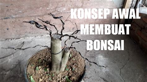 KONSEP AWAL MEMBUAT BONSAI DARI BAHAN DONGKELAN YouTube