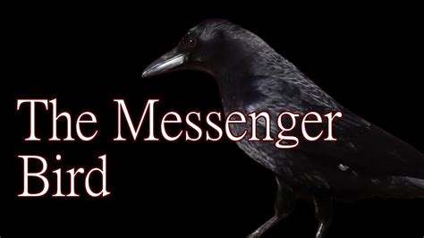 The Messenger Bird Creepypasta Youtube