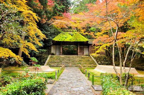 【2024年版】京都市の紅葉スポット30選！散り紅葉・絶景・ライトアップなど旅行好きな筆者が紹介｜アニーお祝い体験マガジン