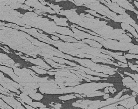 Sem Micrographs Showing The Typical Microstructure Of A Particle In The Download Scientific