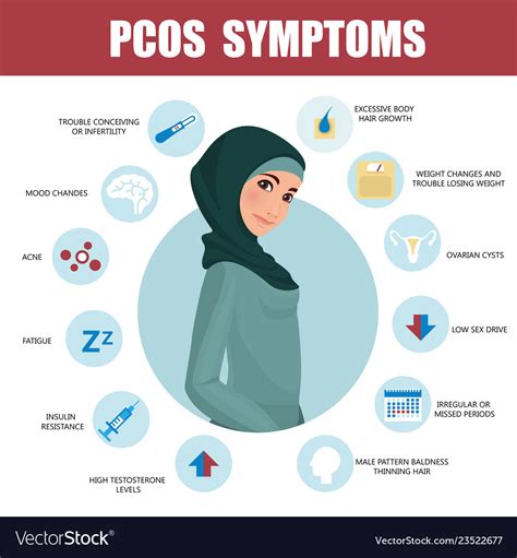 Pcos Symptoms Infographic Detailed Infographic Vector Image