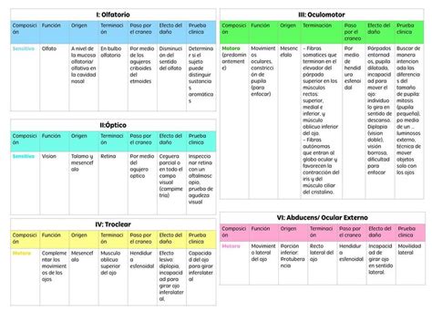 Tablas Nervios Craneales Gabriela Azuara Monroy UDocz