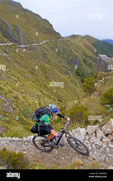 Mountain Biking On The Old Ghost Road Stock Photo Alamy