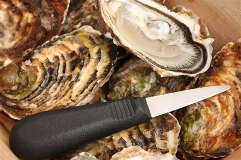 Best Oyster Knife Boss Oyster