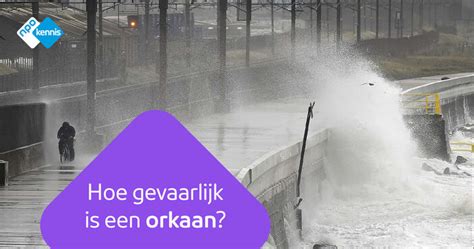 Schooltv Hoe Gevaarlijk Is Een Orkaan Story Over Allesverwoestende