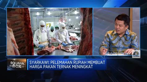 Masih Tergantung Impor RI Jauh Dari Swasembada Daging Sapi YouTube