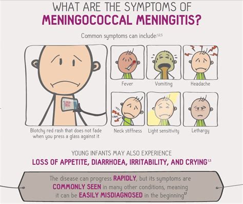 Josanne Cassar | Understanding Meningococcal Meningitis