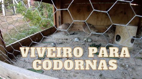 VAMOS FAZER UM VIVEIRO PARA AS CODORNAS MATERIAL REAPROVEITADO