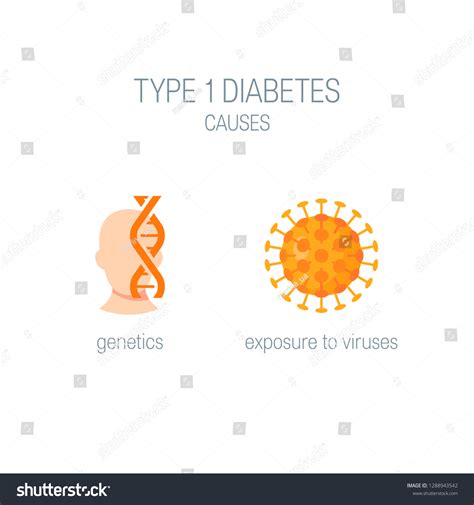 Diabetes Type 1 Causes Concept Diagram Stock Vector (Royalty Free ...