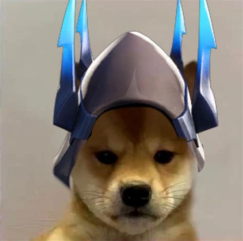 Ice King dog : r/FortNiteBR