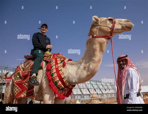 Camel Riding And Saudi Arabia Hi Res Stock Photography And Images Alamy