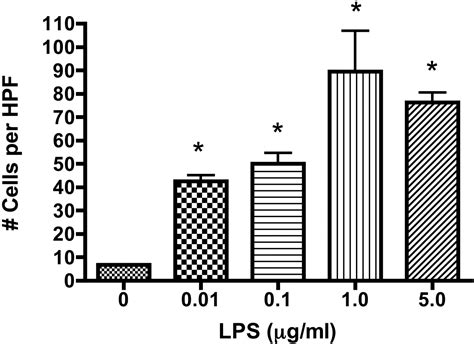 Lipopolysaccharide Transiently Activates Thp Cell Adhesion Journal