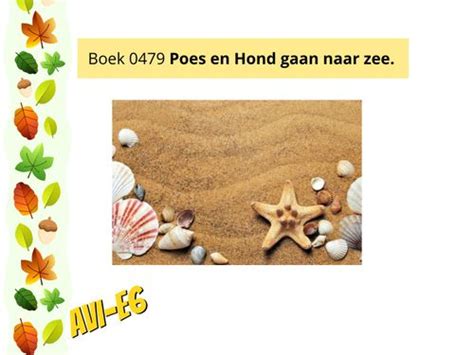 Book Creator Boek 0479 Poes En Hond Gaan Naar Zee