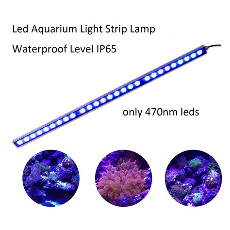 W W W Led Aquariumlicht Mit Nm Leds Korallenlicht F R