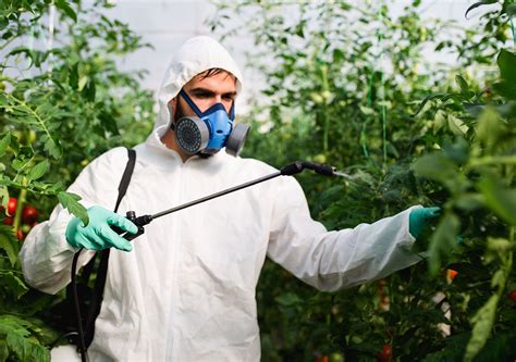 Plaguicidas Efectos Dañinos En El Medio Ambiente Y La Salud