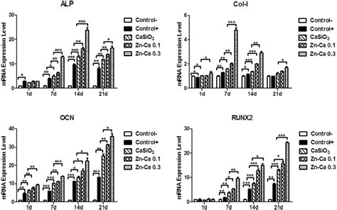 Quantitative Real Time Pcr Analysis Of The Alp Col I Ocn And Runx 2